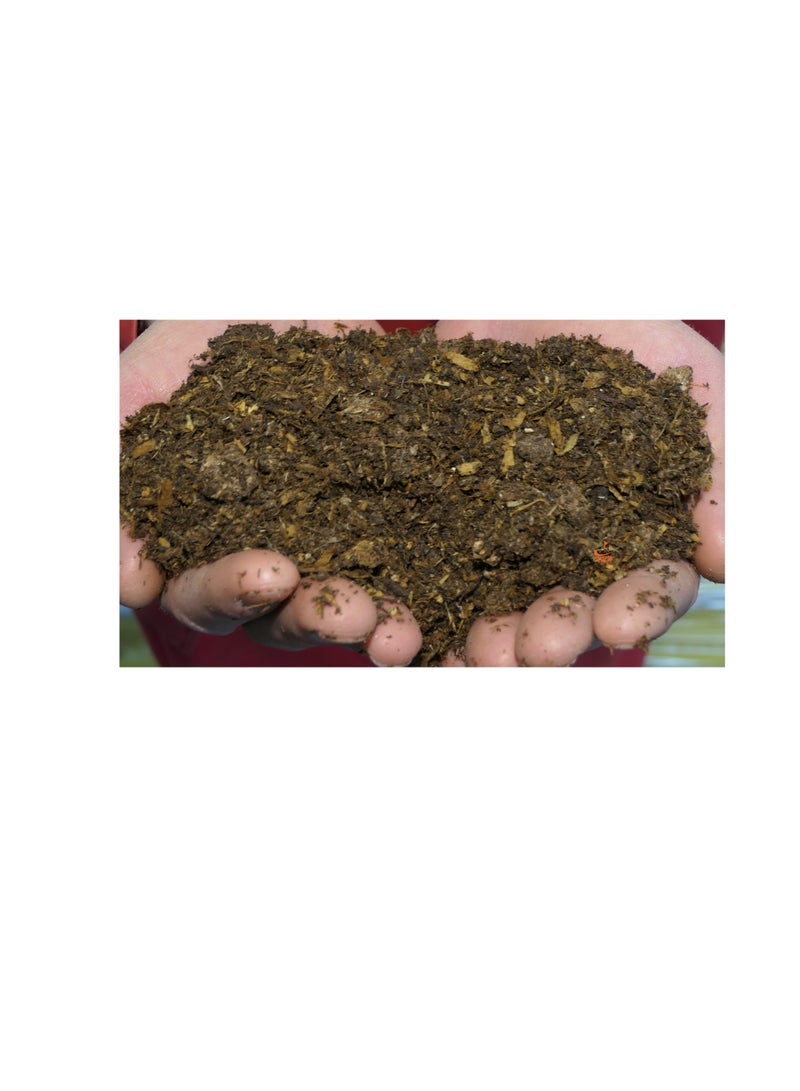 KNP Chicken Manure Organic Fertilizer - Image 2
