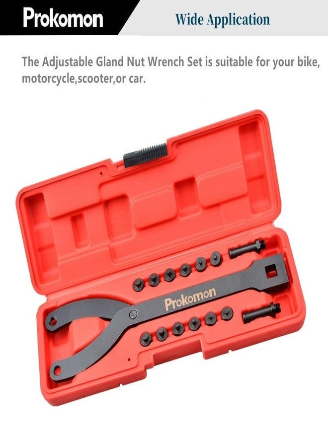 Prokomon Variable Cylinder Spanner Wrench Set; 15Pc Adjustable with Variable Spanner Wrench Pins - Image 2