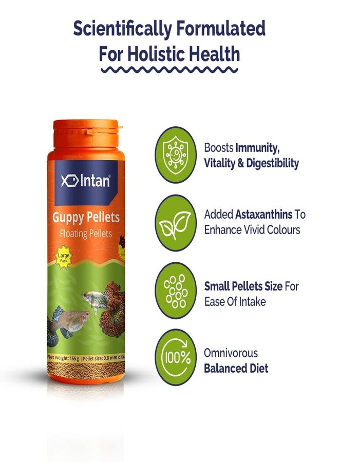 Intan Guppy Pellets (0.8mm Floating) | 155gm - Highly Nutritious Ornamental Fish Food for Guppies & Small Surface Eating Fish | Growel Feeds - Image 4
