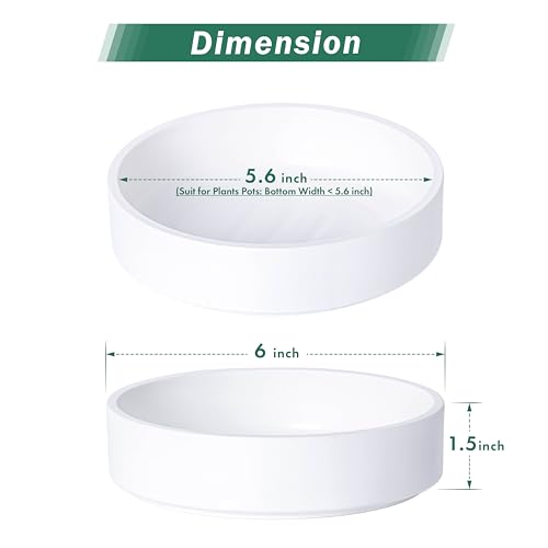 Phoenix Vine 6 Inch Plastic Plant Saucer Water Drip Tray, Heavy Sturdy Round Plant Drainage Tray for Indoors Outdoor, Matte White, 21-TY-6W-1 - Image 2
