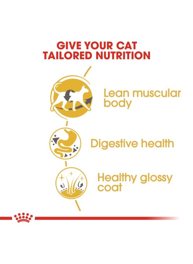 ROYAL CANIN Feline Breed Nutrition Siamese Adult 2 kg - Image 4