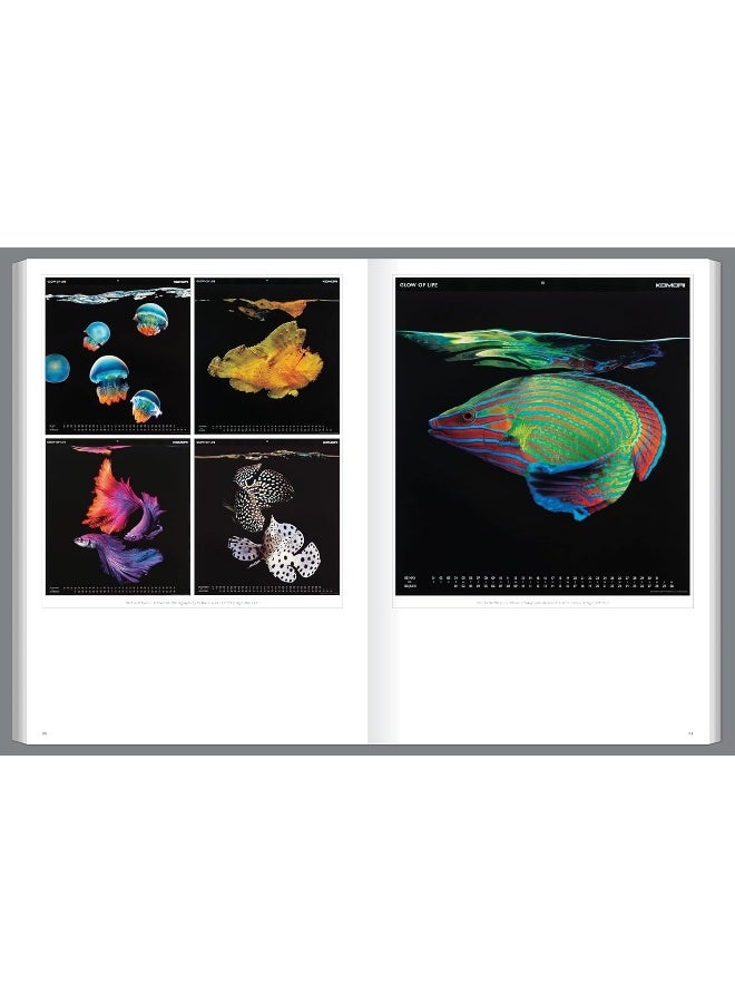 Graphis Journal Magazine 381  - Image 3