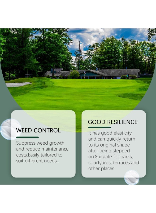 MOONSPRY Green Ecological Blanket Plant Green Seed Growth Planting Landscape Optimization Seed Lawn Blanket - Image 2