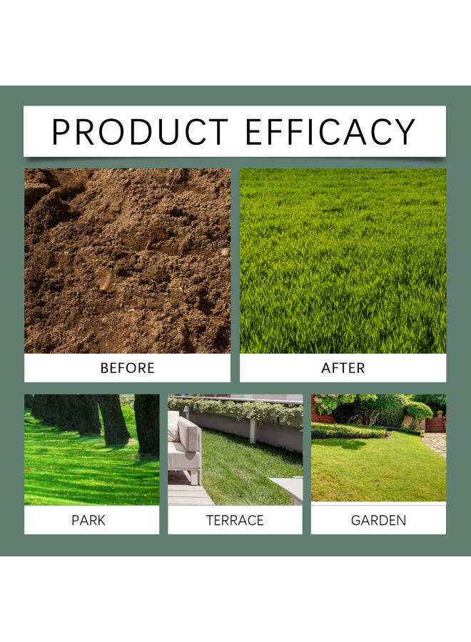 MOONSPRY Green Ecological Blanket Plant Green Seed Growth Planting Landscape Optimization Seed Lawn Blanket - Image 4