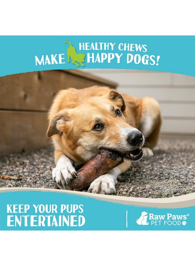Raw Paws Smoked Beef Marrow Bones For Dogs  6 Inch, 4Ct  Packed In Usa  Beef Bones For Dogs  Free Range Bone Marrow Treats For Dogs  Dog Chew Bones For Aggressive Chewers, Dog Marrow Bone Treats - Image 5