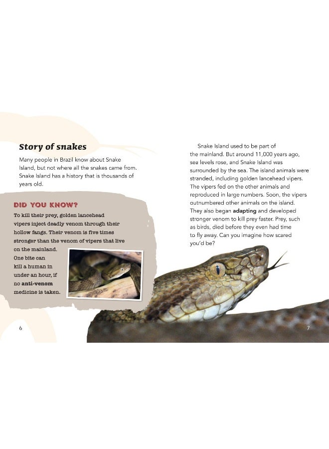 Year 3 Book 9 NF 2: Year 3 - Image 2