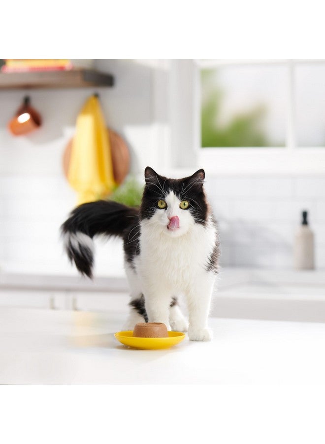 مياو مكس طعام القطط الرطب مياو ميكس باتيه في المرق مع الدجاج الحقيقي والتونة، 2.75 أونصة (عبوة من 12 قطعة) - Image 4