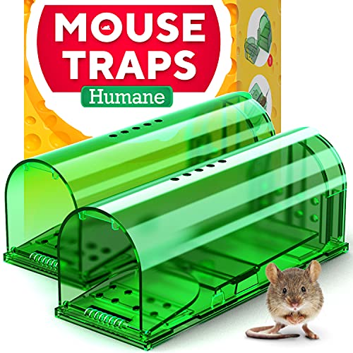 GEROSSI Humane Catch and Release Indoor/Outdoor Mouse Traps Pack of 2 - Easy Set Durable Traps, Safe for Children, Pets and Humans - Instantly Remove Unwanted Vermin from Your Home - Image 1