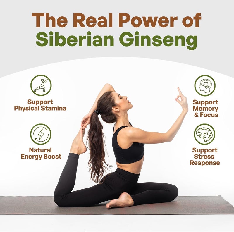 Go Nutra Siberian Ginseng Powder 4:1 Extract 4X Times Stronger Eleuthero Root Extract Non-GMO 4oz - Image 4
