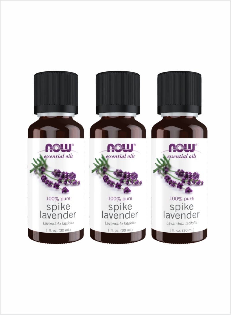Now Essential Oils 100% Pure Spike Lavender Oil – 30ml (Pack of 3)