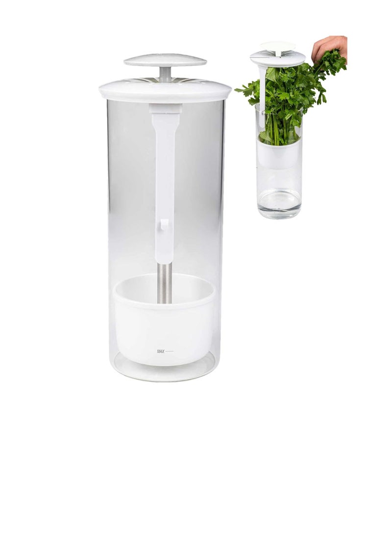SYOSI Green Vegetables Storage Saver, Herb Storage Container for Refrigerator, Designed for Maximum Freshness, Easy Access Herb Storage Containers for Refrigerator, Cilantro Saver  - Image 3