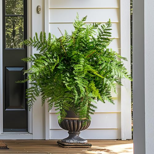 Bailikang 4PCS Artificial Boston Fern Fake Ferns Hanging Plant UV Resistant Inoor Outdoor Faux Shrubs 19Inch Large Faux Ferns Greenery Stems for Home Office Garden Decoration - Image 1
