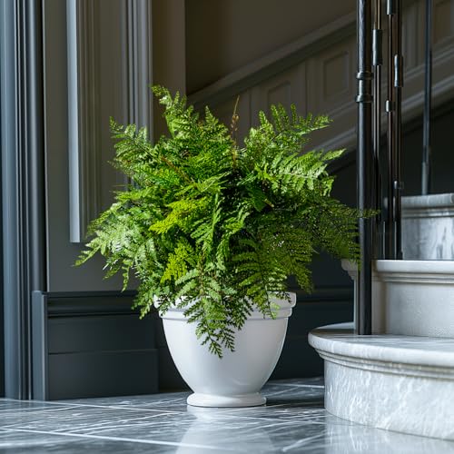 Bailikang 4PCS Artificial Boston Fern Fake Ferns Hanging Plant UV Resistant Inoor Outdoor Faux Shrubs 19Inch Large Faux Ferns Greenery Stems for Home Office Garden Decoration - Image 2