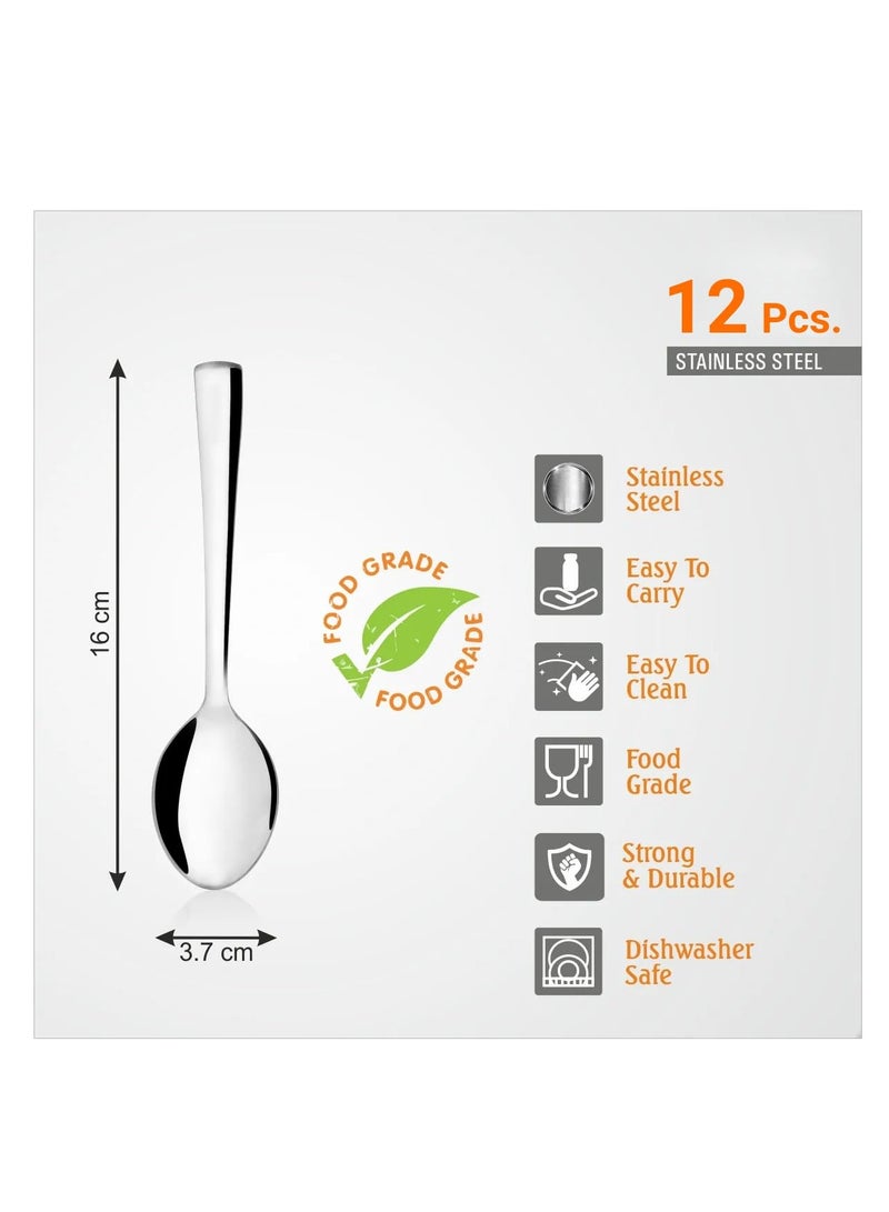 Kodenipr Club Stainless Steel Dinning, Dinner Spoons, Table Spoon Set of 12, Length 16cm (Medium Spoon) - Image 3