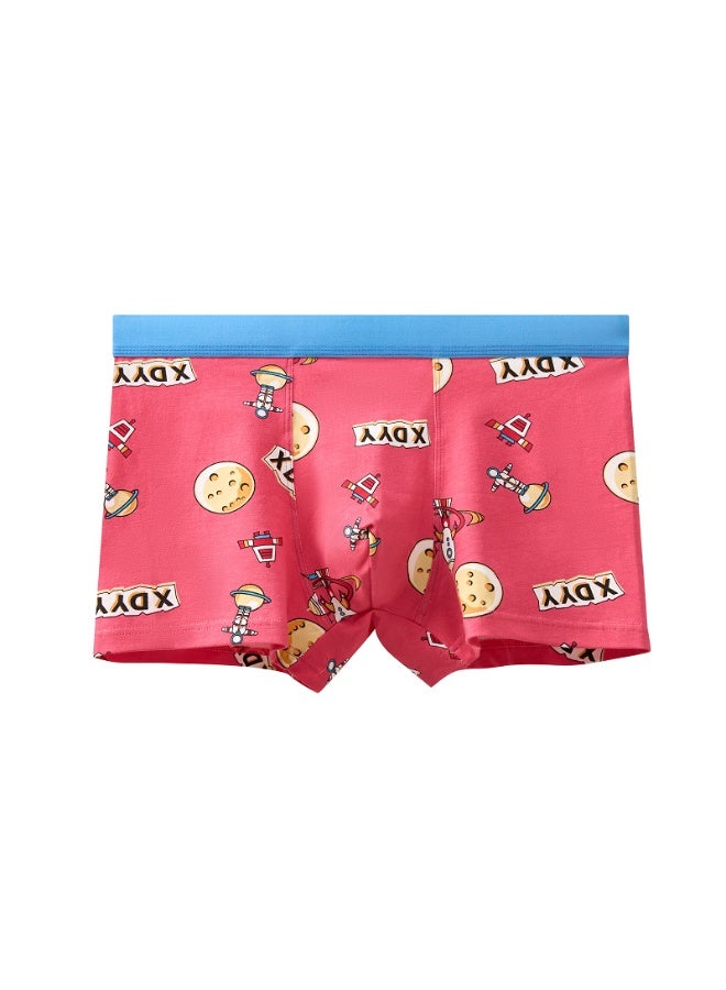 KUYING New Comfortable Skin friendly Breathable Underwear Set of 8  - Image 2