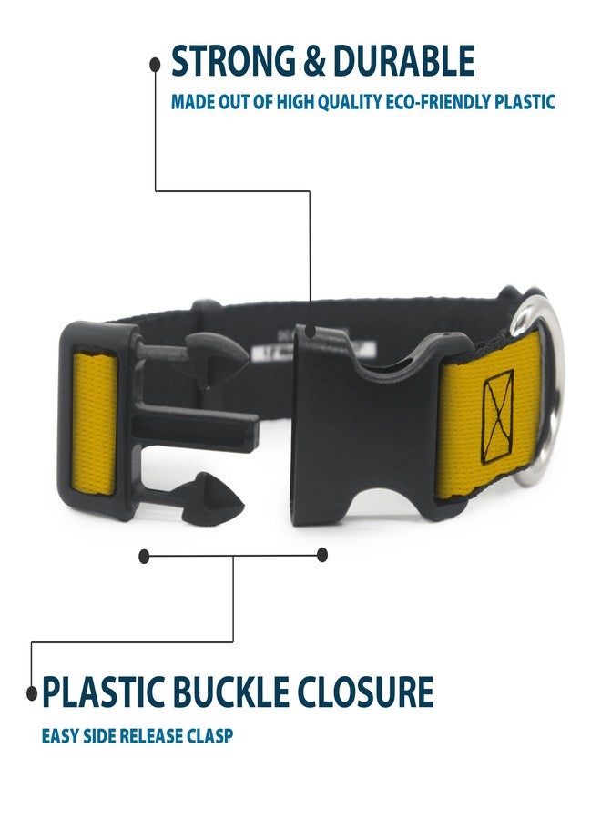 Buckle Down CBS Studios Inc. Pet Collar, Dog Collar Plastic Buckle, Star Trek Starfleet Insignia Golden Yellow White, 9.5 to 13 Inches 1.0 Inch Wide - Image 4