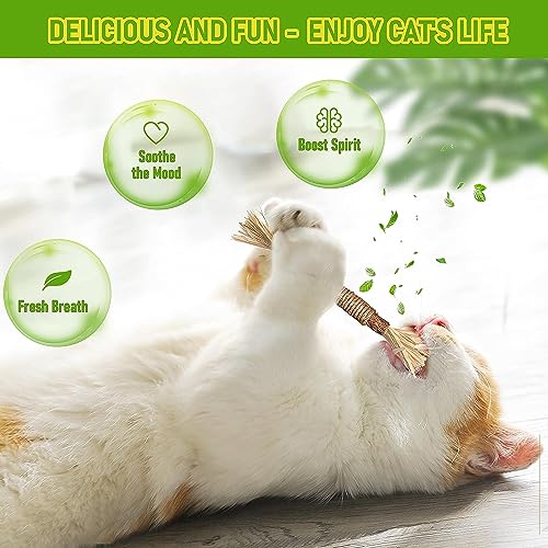 Inralimot 1 Pack Silvervine Cat Toy, Silvervine Sticks Toys for Indoor Cats, Cat & Kitten Chew Toys for Aggressive Chewers, Cat Dental Toy for Kitten Teeth Cleaning, Matatabi Silvervine for Cats. - Image 4