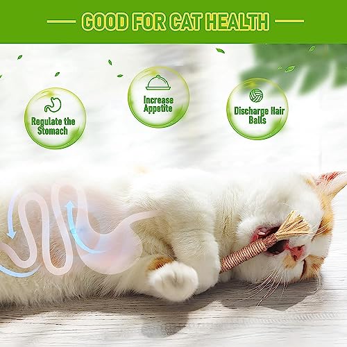 Inralimot 1 Pack Silvervine Cat Toy, Silvervine Sticks Toys for Indoor Cats, Cat & Kitten Chew Toys for Aggressive Chewers, Cat Dental Toy for Kitten Teeth Cleaning, Matatabi Silvervine for Cats. - Image 2