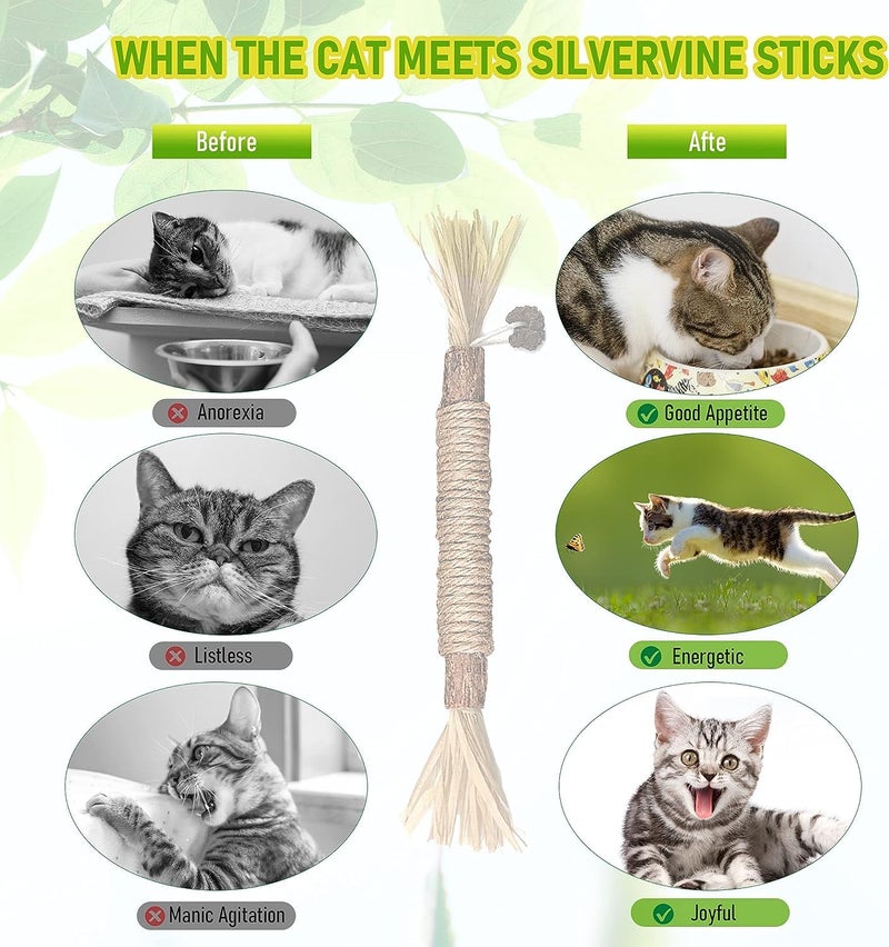 Inralimot 1 Pack Silvervine Cat Toy, Silvervine Sticks Toys for Indoor Cats, Cat & Kitten Chew Toys for Aggressive Chewers, Cat Dental Toy for Kitten Teeth Cleaning, Matatabi Silvervine for Cats. - Image 5