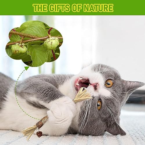 Inralimot 1 Pack Silvervine Cat Toy, Silvervine Sticks Toys for Indoor Cats, Cat & Kitten Chew Toys for Aggressive Chewers, Cat Dental Toy for Kitten Teeth Cleaning, Matatabi Silvervine for Cats. - Image 3