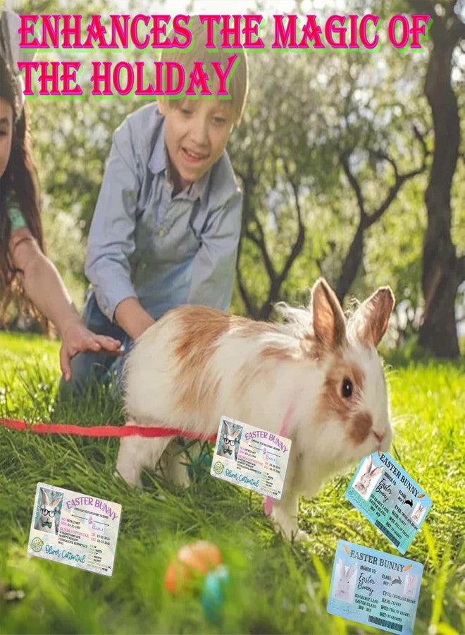 ZAGEVIVIN Easter Basket Stuffers,Easter Bunny Lost Driver's License,Easter Decorations,Easter Rabbit Card, Easter License Card for Kids, Bunny Driver's Id, Easter Rabbit License Easter Gift for Kids (1 Pcs) - Image 4