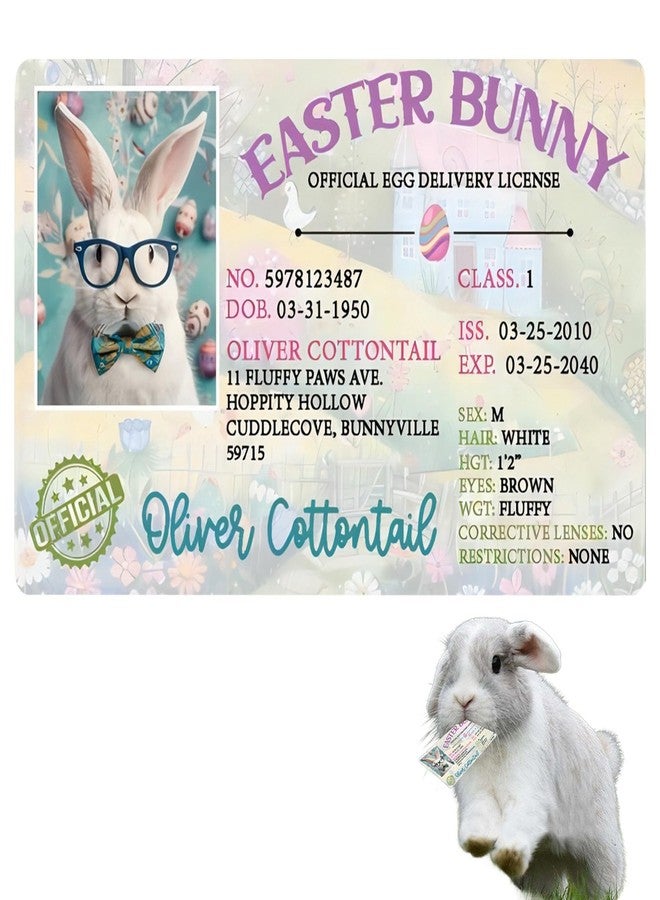 ZAGEVIVIN Easter Basket Stuffers,Easter Bunny Lost Driver's License,Easter Decorations,Easter Rabbit Card, Easter License Card for Kids, Bunny Driver's Id, Easter Rabbit License Easter Gift for Kids (1 Pcs) - Image 1