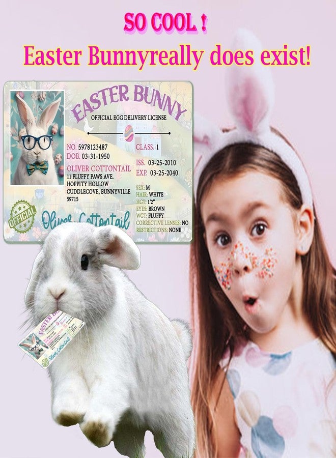 ZAGEVIVIN Easter Basket Stuffers,Easter Bunny Lost Driver's License,Easter Decorations,Easter Rabbit Card, Easter License Card for Kids, Bunny Driver's Id, Easter Rabbit License Easter Gift for Kids (1 Pcs) - Image 3