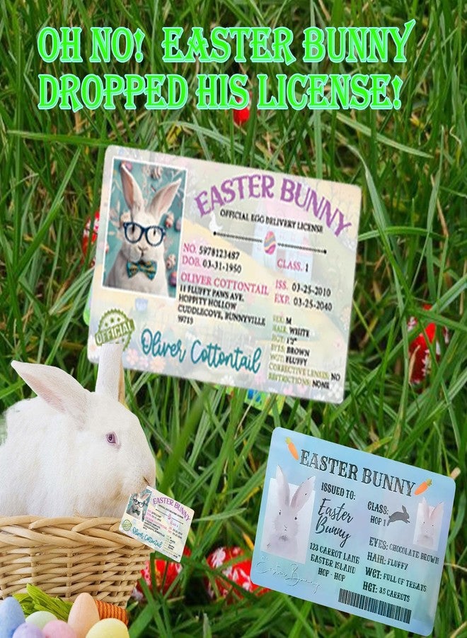 ZAGEVIVIN Easter Basket Stuffers,Easter Bunny Lost Driver's License,Easter Decorations,Easter Rabbit Card, Easter License Card for Kids, Bunny Driver's Id, Easter Rabbit License Easter Gift for Kids (1 Pcs) - Image 2