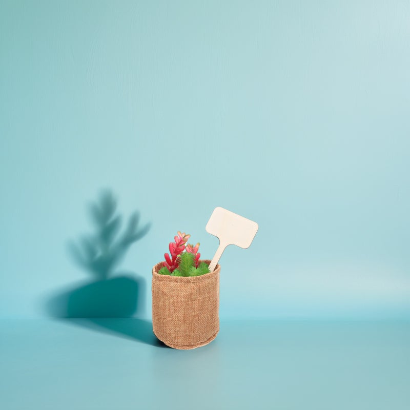 🌱 مجموعة أدوات زرع صغيرة مع مجرفة يدوية للعناية بالنباتات المنزلية والنباتات العصارية - Image 4