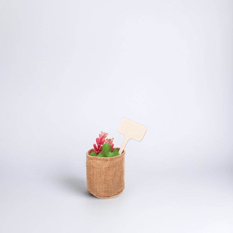 🌱 مجموعة أدوات زرع صغيرة مع مجرفة يدوية للعناية بالنباتات المنزلية والنباتات العصارية - Image 3