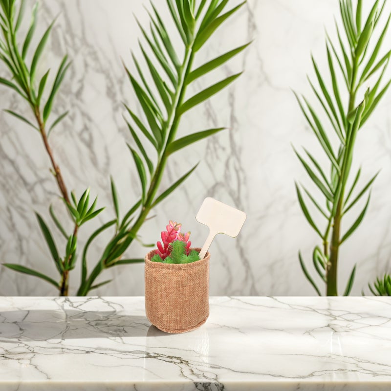 🌱 مجموعة أدوات زرع صغيرة مع مجرفة يدوية للعناية بالنباتات المنزلية والنباتات العصارية - Image 5