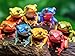 Cross & Glory Cross Glory Rainbow Ribbit Frog Ensemble 1000 Piece Jigsaw Puzzle for Adults Vibrant Puzzle Premium Quality Unique Artwork - Image 2