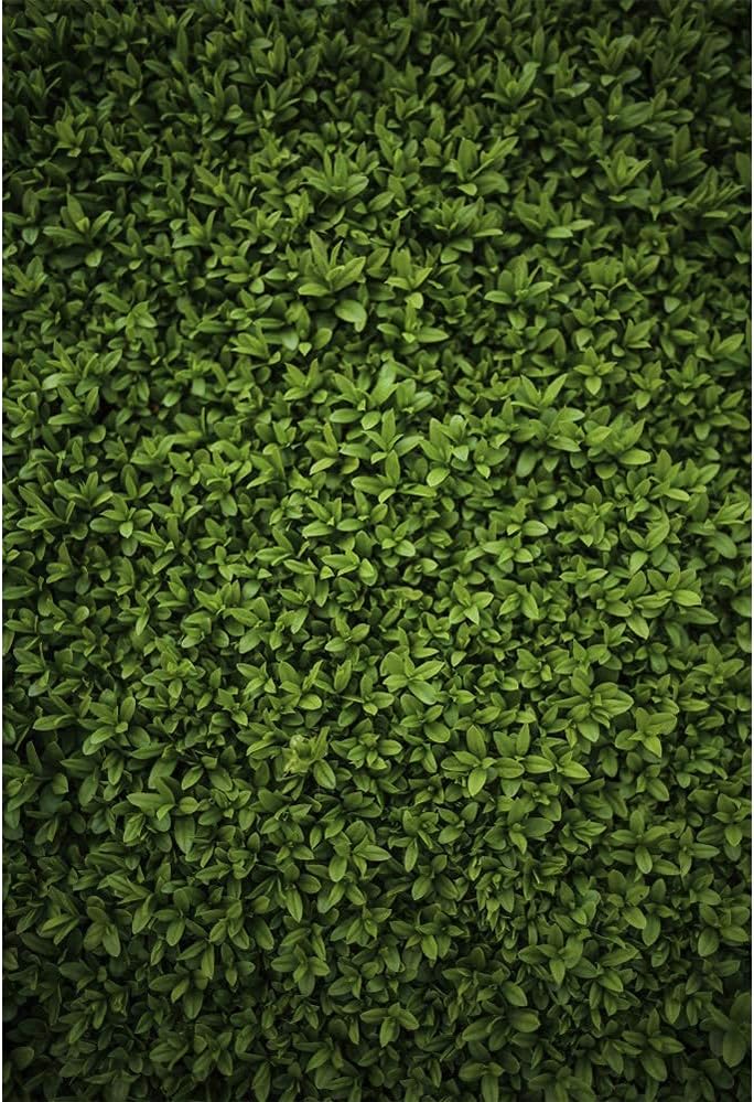 Laeacco 3x5ft Ivy Leaves Backdrop Green Vine Leaves Vinyl Material Ideal for Wedding Portraits Parties  Events - Image 3