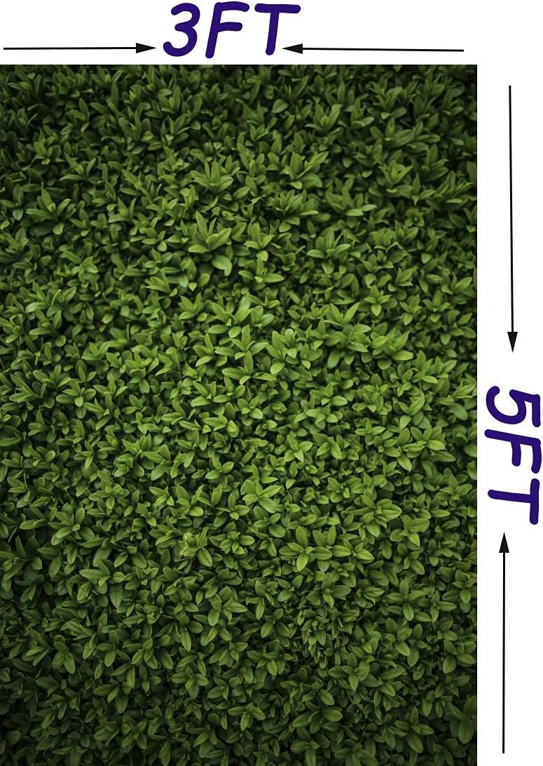Laeacco 3x5ft Ivy Leaves Backdrop Green Vine Leaves Vinyl Material Ideal for Wedding Portraits Parties  Events - Image 5