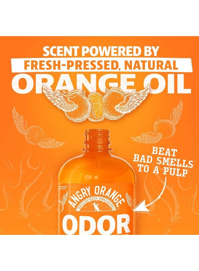 ANGRY ORANGE Pet Odor Eliminator for Dog Urine and Smells - Citrus - 24 oz - Value 2 Pack - Image 5