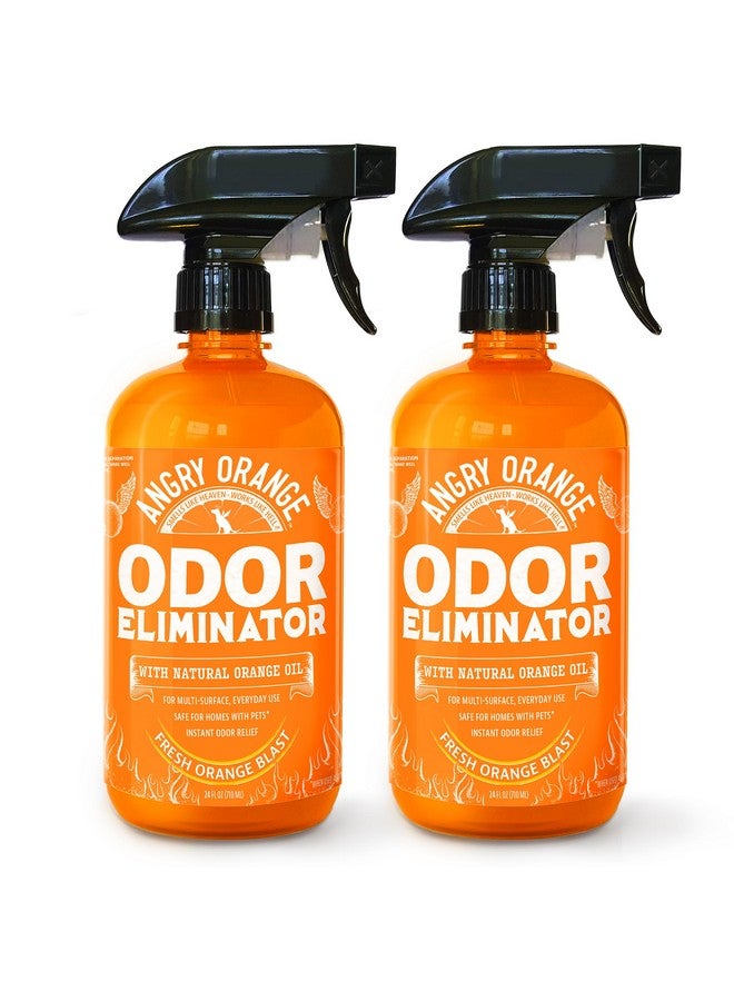 ANGRY ORANGE Pet Odor Eliminator for Dog Urine and Smells - Citrus - 24 oz - Value 2 Pack - Image 1