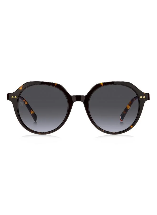 Wayfarers Sunglasses
