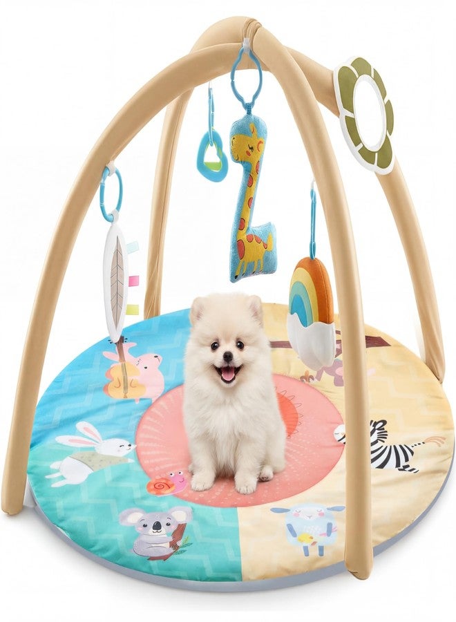 Sunnymove Puppy Play Gym, Dog Cat Activity Mat with Squeaky Toys, Interactive Sensory Mat for Pets, 30 x 30 x 20 Inch, Suitable for Dogs Cats Exercise Napping - Image 1
