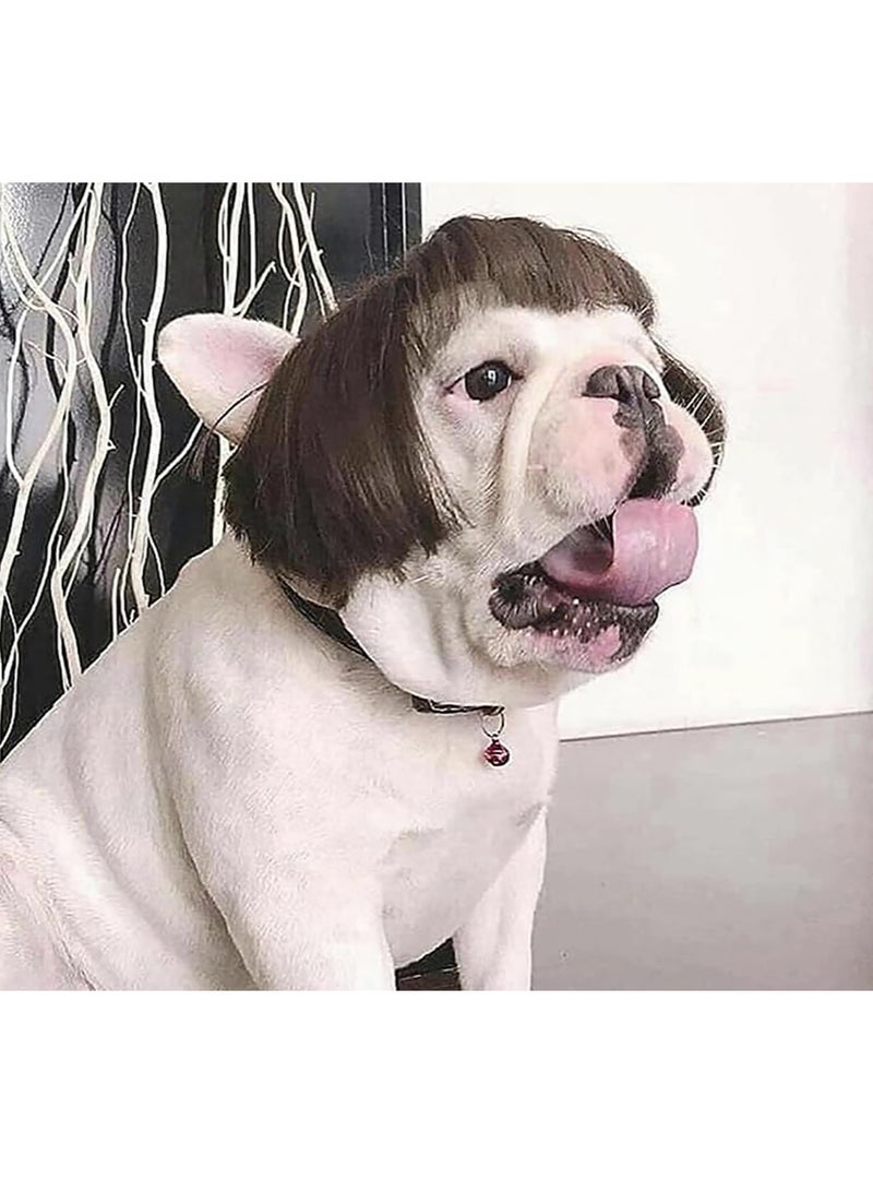 شعر مستعار للكلاب، غطاء رأس قابل للتعديل للحيوانات الأليفة للكلاب الصغيرة والمتوسطة والكبيرة - Image 1