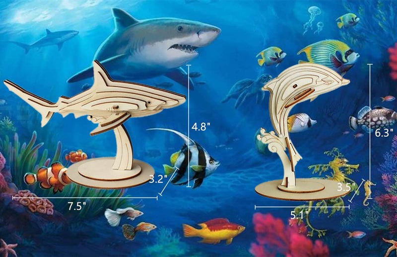 i-CHONY 3D Wooden Sea Animal Puzzle - 6 Piece Set Wood Sea Animals Skeleton Assembly Model Kits - Wooden Crafts DIY Brain Teaser Puzzle - STEM Toys Gifts for Adults & Teens Birthday Gifts Christmas - Image 3