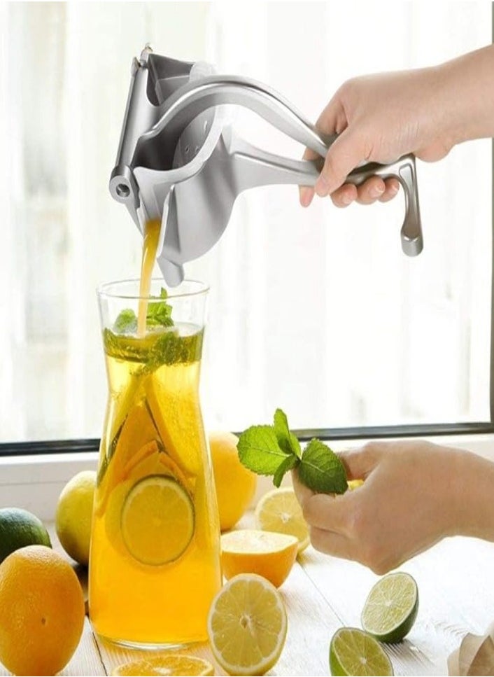 XVersion - Premium Stainless Steel Manual Juicer – Heavy Duty Alloy Fruit Squeezer, Easy-to-Use Lemon & Orange Press, Efficient Juicer Extractor Tool for Fresh Juice - Image 1