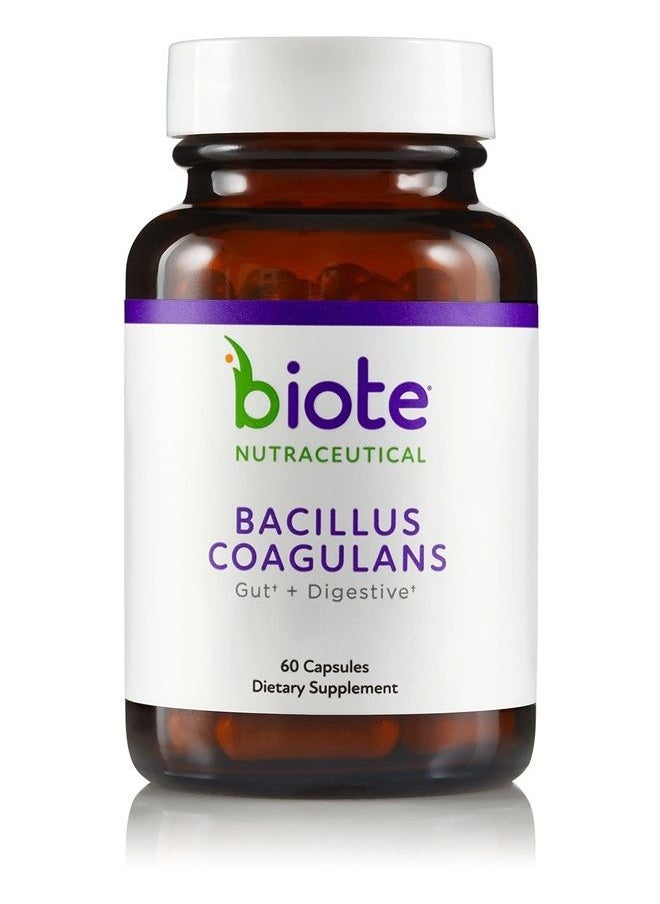 bioTE - Biote Nutraceuticals - BACILLUS COAGULANS - Gut + Digestive (60 Capsules) - Image 1