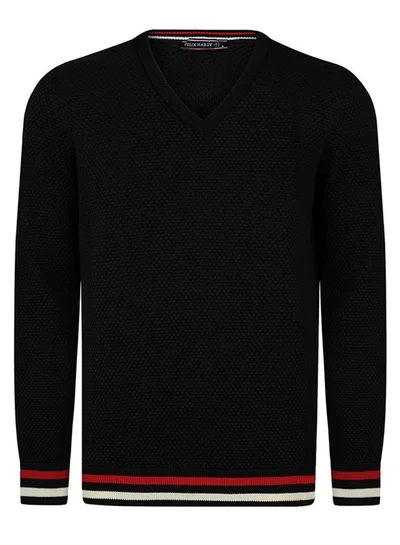 FELIX HARDY V-neck jumper