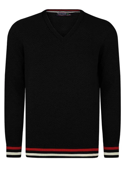 FELIX HARDY V-neck jumper