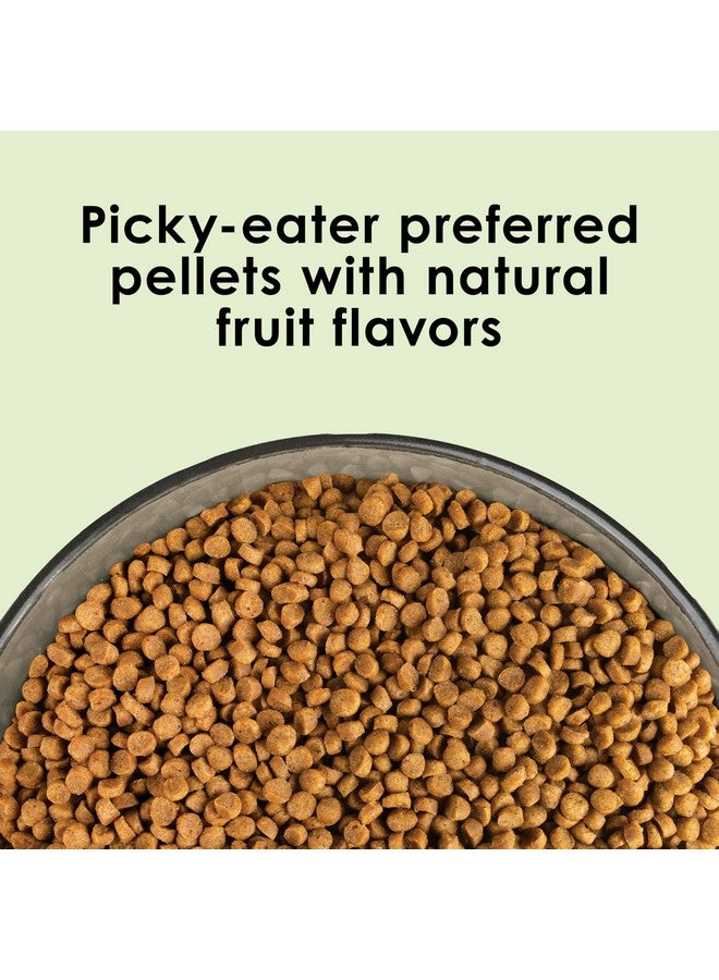 Kaytee Nutri Soft Pet Parrot & Conure Bird Food, 3 Pound - Image 3