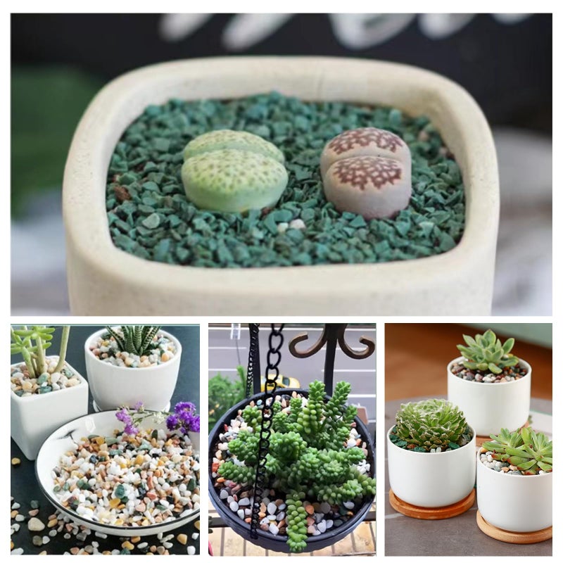 Planterhoma 11 lbs Succulent and Cactus Bonsai Pebbles, 4-6mm Decorative Landscaping Stones Natural Garden Gravel Rocks for Indoor Outdoor Plants Aquariums DIY, and Gardening Top Dressing, Green Zeolite - Image 4