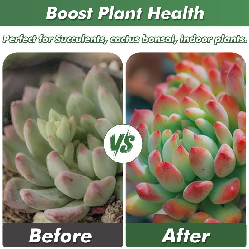Planterhoma 11 lbs Succulent and Cactus Bonsai Pebbles, 4-6mm Decorative Landscaping Stones Natural Garden Gravel Rocks for Indoor Outdoor Plants Aquariums DIY, and Gardening Top Dressing, Green Zeolite - Image 5