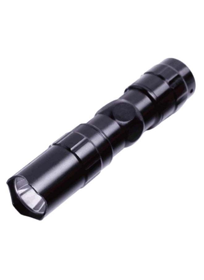 NIBEMINENT Mini Waterproof Flashlight With Lanyard Black/Clear 