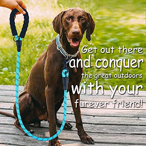 HANK Dog Leash | 3M Reflective Leash for Large Dogs | Soft Handle | Heavy Duty Belt Hook | Shock Absorbing Pet Rope | Suitable for Large Breed (10-80KG) 5 Feet Long (L - Cyan Blue) - Image 4