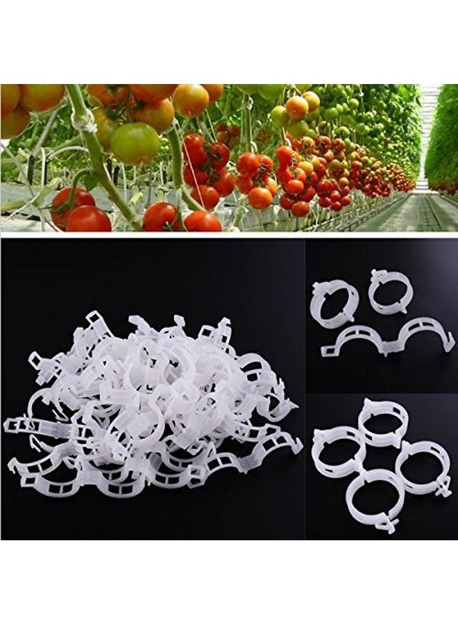 KINGLAKE 150 Pcs Plant Support Garden Clips,Tomato Vine Clips,Tomato Trellis Clips for Vine Vegetables Tomato to Grow Upright and Makes Plants Healthier - Image 4